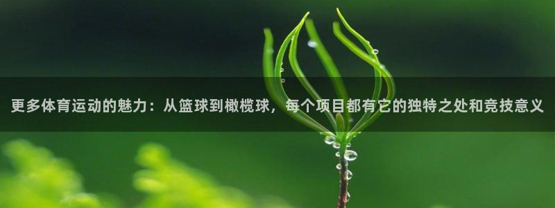 意昂5平台