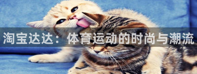杏鑫kgame