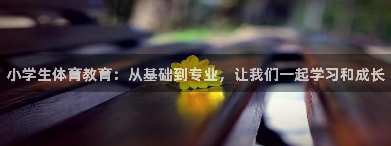 杏鑫体育用品