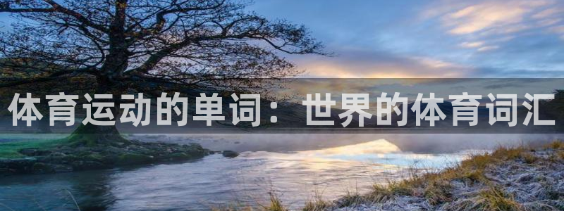 杏鑫平台注册