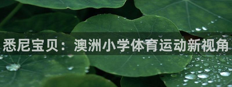 杏鑫体育凯捷登陆