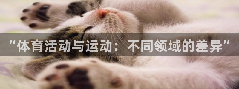 杏鑫凯捷平台