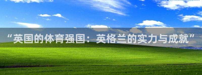 杏鑫体育注册代理