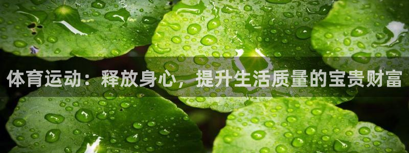 杏鑫体育官网入口登录