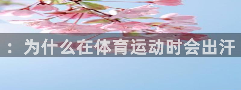 杏鑫