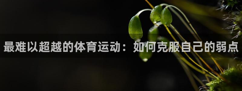 杏鑫集团总部