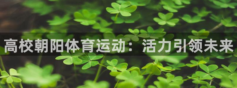 意昂体育4