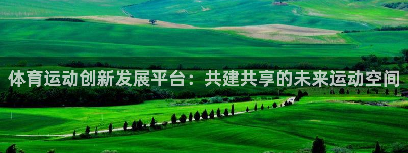 杏鑫体育平台登录入口
