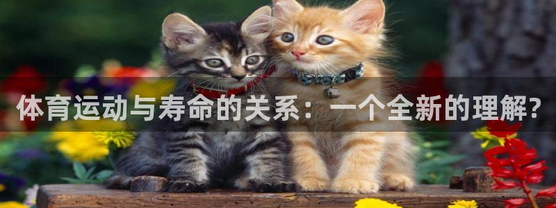 杏鑫集团总部