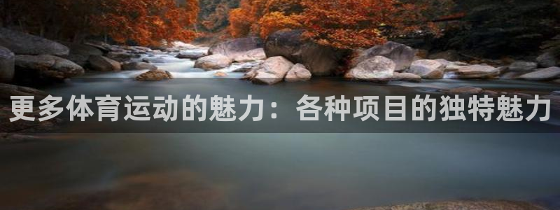 杏鑫代理注册